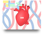 Hjärtats funktion 8a (2)