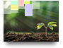 All about photosynthesis
