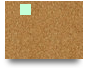 website translation