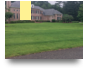 Affordable Lawn Care