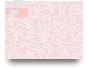REPORTED SPEECH