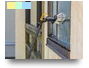 Squeekee Squeegee