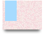 aounihaianh3
