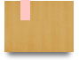 1xfun888bet