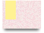 aounihaianh6