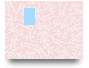 qq88fan