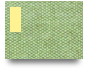 BINGOPLUS