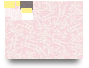 AREA DE LA SALUD