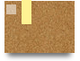 xoilactvjon2