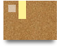 xoilacvvgtv