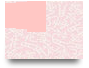 paggbnet