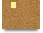 Spbopen24