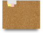 Present Continuous_8 SMPIA CGE