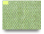 Exit Ticket
