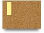 pg55technology