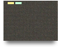 troynelson08