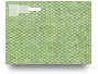 Fascículo10