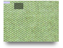 11 2026