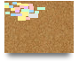 Trial Canvas