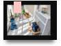 Senior Relocation USA