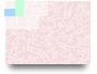 Sejarah XI