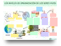 Organización y características!
