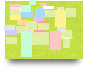 Niveles de organización 