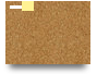 moj prvi padlet