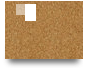 SSBET77 Official