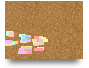 Trial Canvas