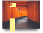 NbS Pathway