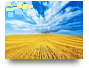 Незламна Україна  