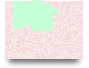 AGP_M9_U2_S6_A1_AAPS