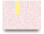 ГІО_5