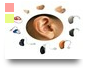 BSL Level 1- Digital hearing aid