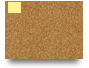 Tema 6 parte 1