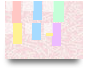 Procedure Text