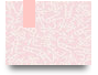 zowinzcom