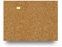Test1