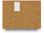 8xbetsite