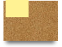 apppaint