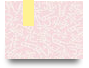 trangsucvienvien