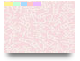 SavVie Task 1