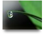 El impacto del agua