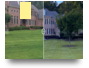  Lawn Service in Macon – Weedsie