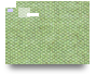 29 05 2025