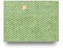 29 05 2025