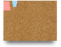 Trial Canvas