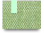 Cabongtv