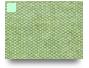 tw555
